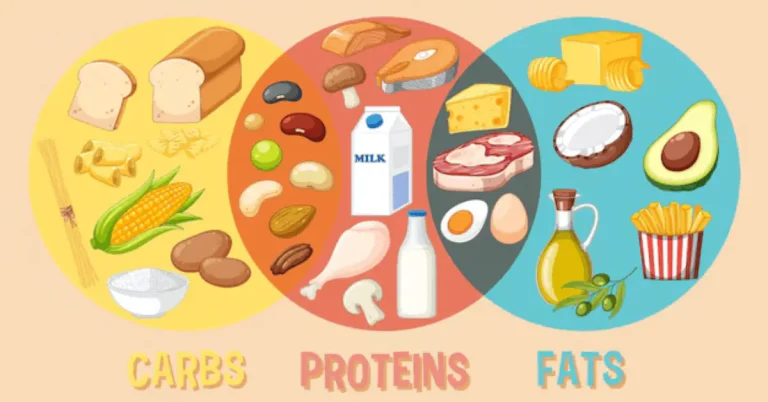 Cookout Nutrition Table 10 Cookout Nutritional Information
